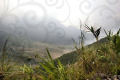 Misty Valley