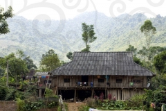 Stilted House