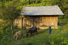 Afternoon-in-my-Village