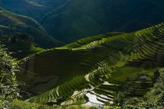Afternoon-on-the-Terraces