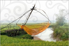 Buc-Tranh-Que