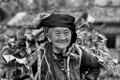 Tuoi-80