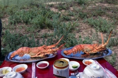 bbq-seafood-on-beach