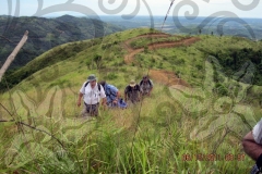 group-hiking-in-vietnam