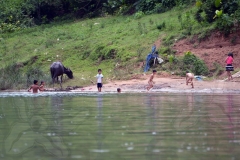 swimming