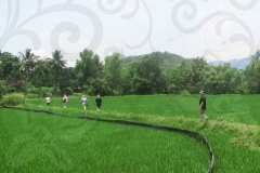 veterans-trekking