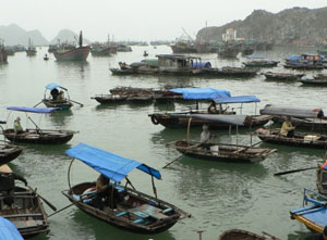 Boats in Ha Lon Bay