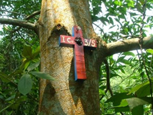 Dedication Cross in Vietnam