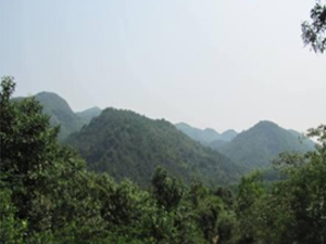 Hills and Forests of Vietnam