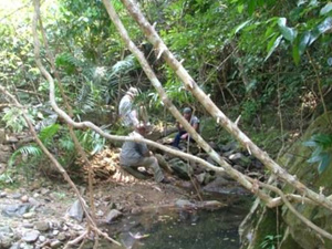 Stream Bed in Vietnam