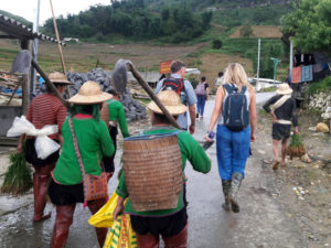 Trekking tour in Sapa in a day